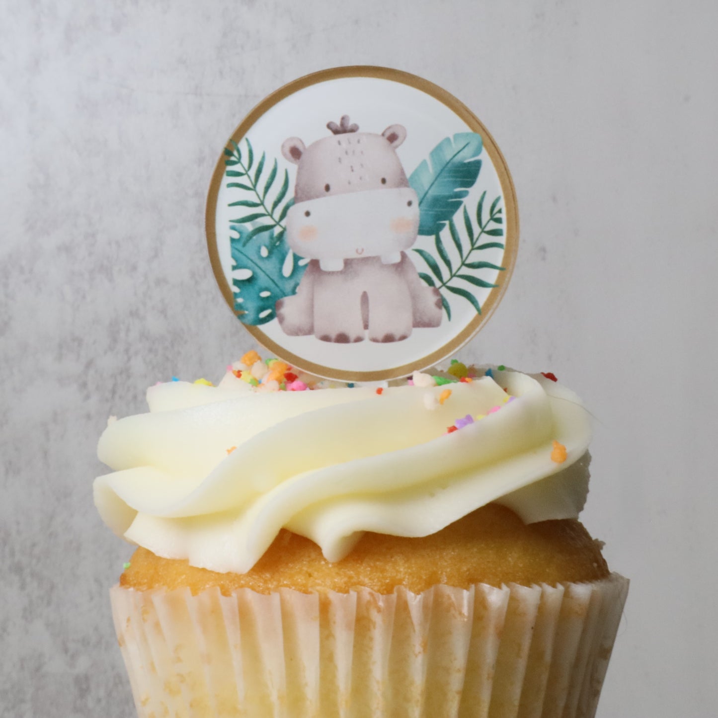6 Safari Acrylic Cupcake Topper