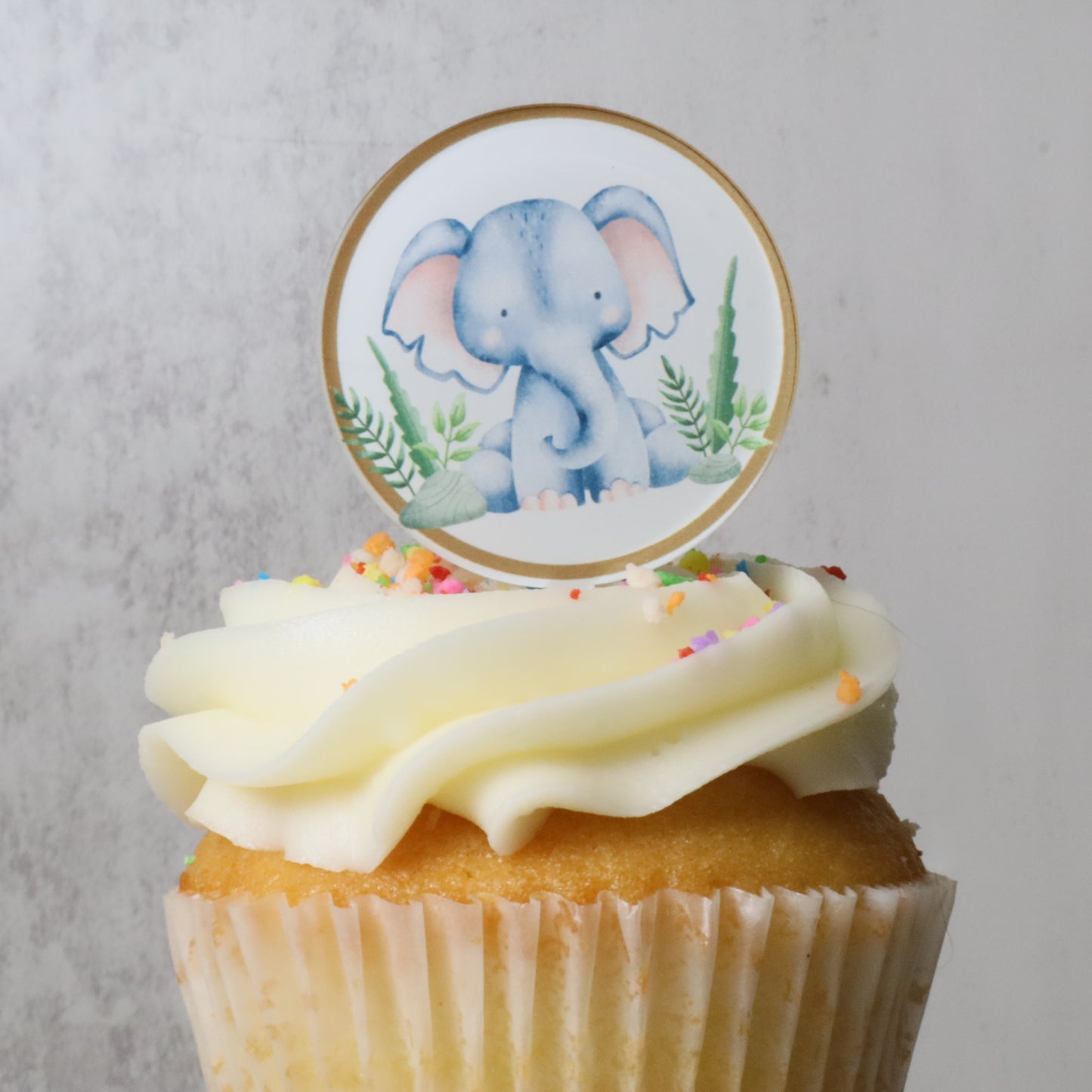 6 Safari Acrylic Cupcake Topper