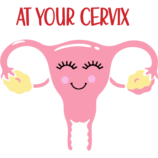 At Your Cervix (Blank) (Free File) – Bake&Make